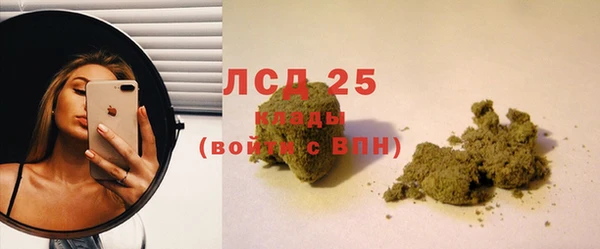 сатива Ростов