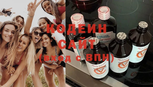 сатива Ростов