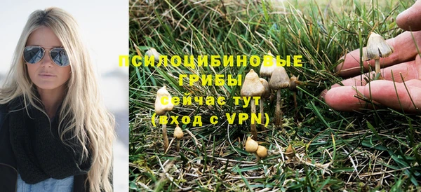 тгк Рославль