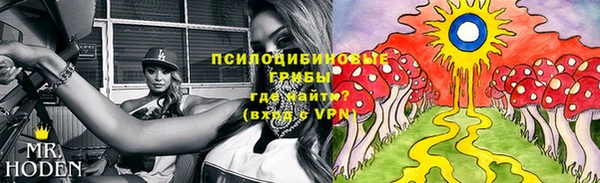 бошки Сатка
