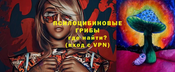 бошки Сатка