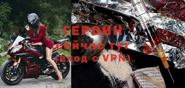 сатива Ростов
