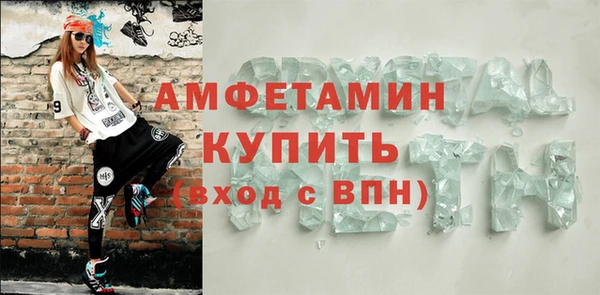 сатива Ростов