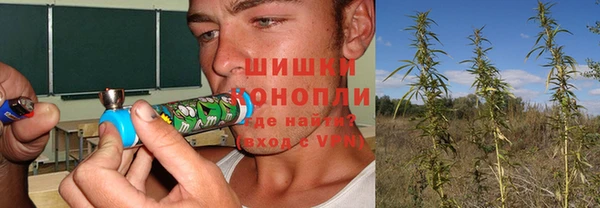 бошки Сатка