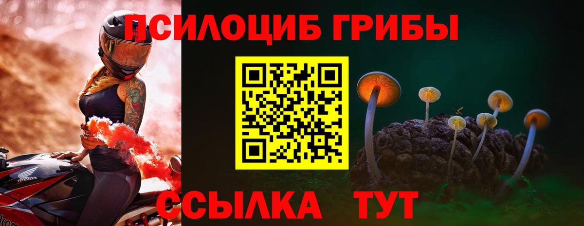 Галлюциногенные грибы ЛСД  Вход с VPN  Кузнецк  Галлюциногенные грибы MAGIC MUSHROOMS 