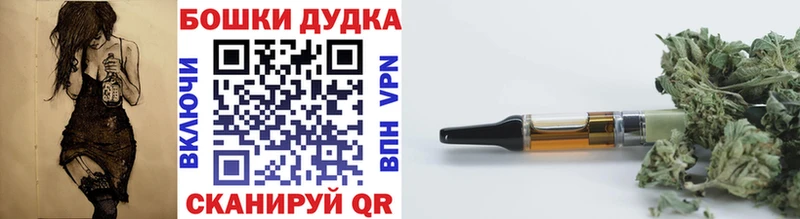 Бошки марихуана индика  Кузнецк 